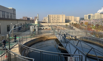 为地球守护一湾清水